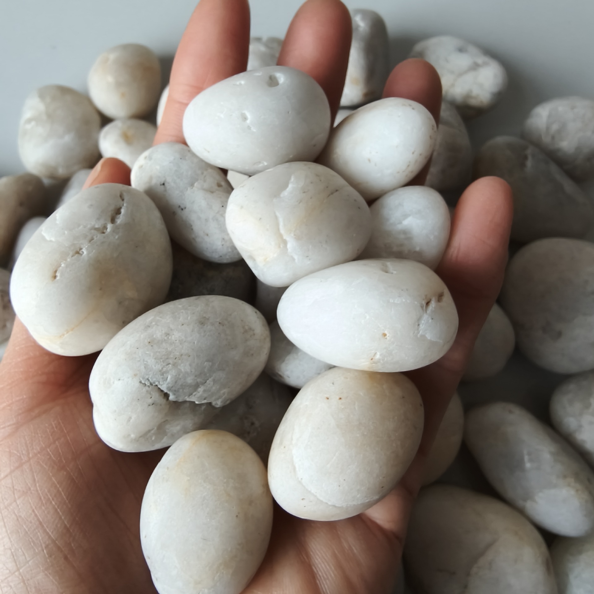 Factory direct delivery of white pebble garden pavement, courtyard decoration landscape, aquarium potted plant landscaping, rain flower stone raw stones details Picture