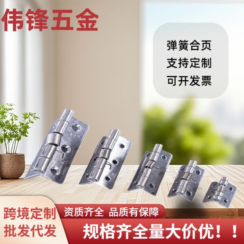 A comprehensive collection of 304 stainless steel hinges, thickened spring hinges for doors and Windows, hardware hinges with leaf nuts and rebound damping hinges full figure