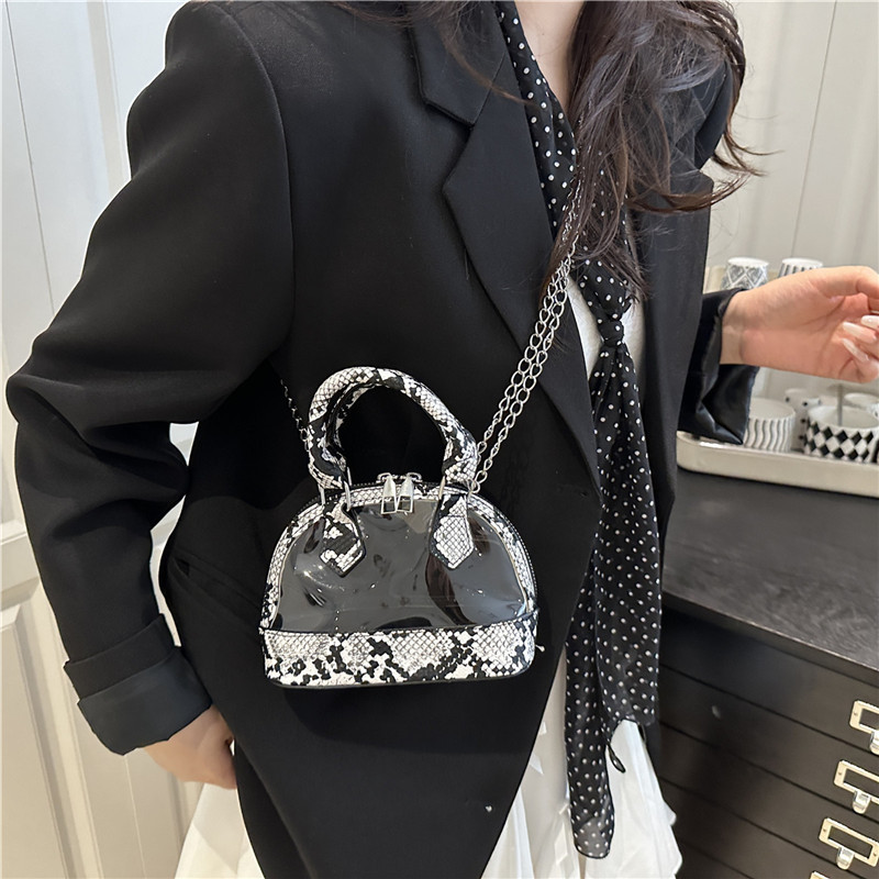 European and American snake pattern patchwork transparent shell bag 2025 new trend creative retro handbag chain women's bag Specification drawing