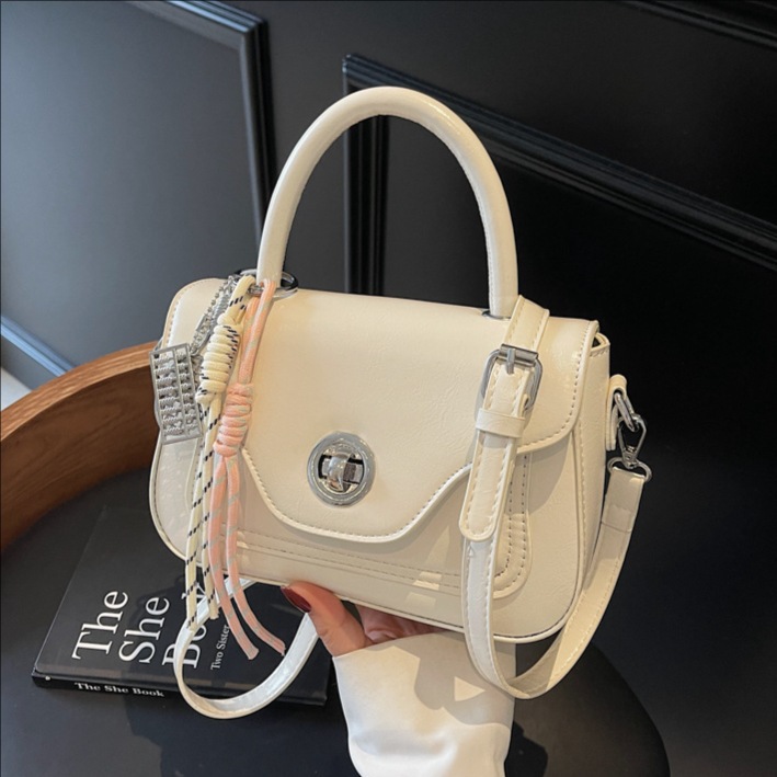 A new Korean high-end, niche and fashionable hand-held small square bag for women in 2025, trendy, stylish and versatile single-shoulder crossbody bag full figure