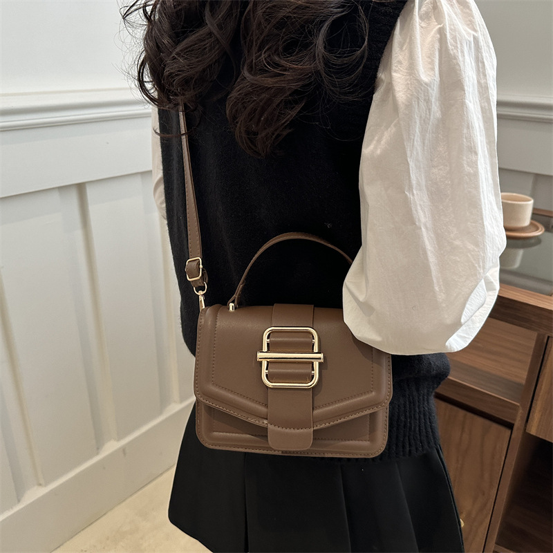 High-end texture, fashionable magnetic buckle hand-held small square bag for women, new Spring 2025 style, stylish single-shoulder bag, trendy crossbody bag Specification drawing