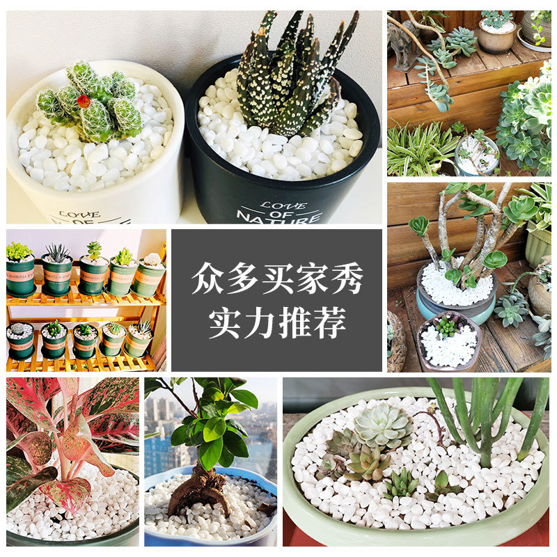 Natural pebbles, white small stones for paving, snowflake white gravel, white marble garden landscape, dry landscape, white pebbles Application Scenario