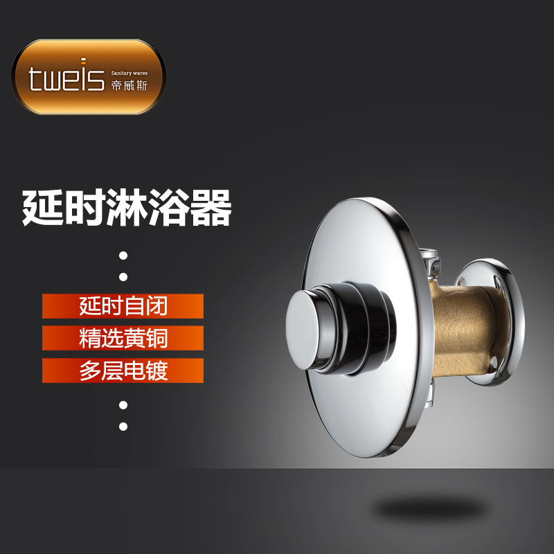 tweis push-type delay shower, single-cooling hand-pressed shower delay valve for public places full figure