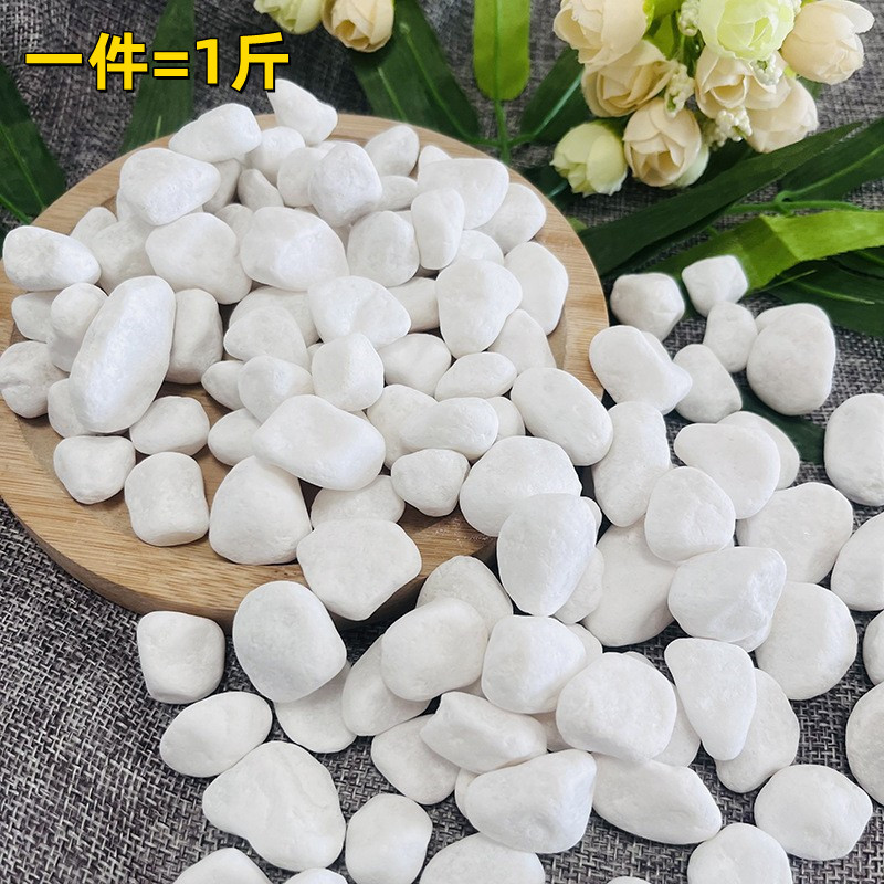 White pebble manufacturer, garden potted plant surface, small stones, garden dry landscape, white pebbles, white pebbles details Picture