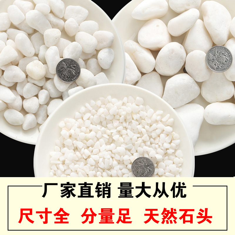 Natural pebbles, white small stones for paving, snowflake white gravel, white marble garden landscape, dry landscape, white pebbles full figure