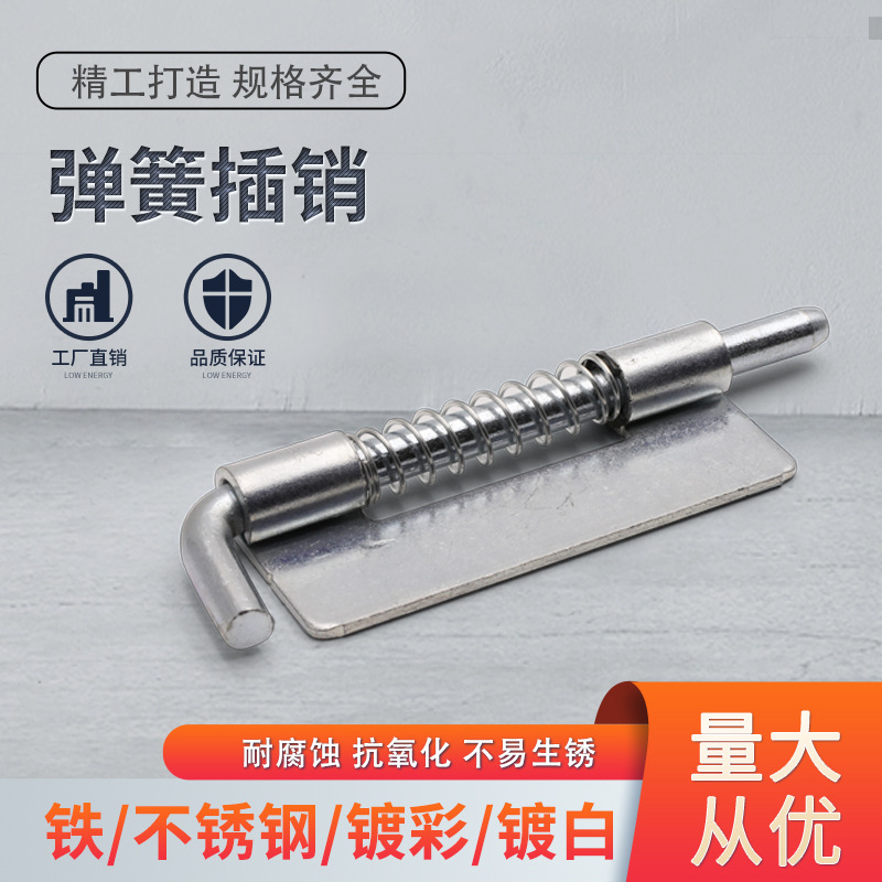 Wholesale 304 stainless steel spring pin CL225 industrial hinge distribution box and cabinet door plate spring pin in stock details Picture