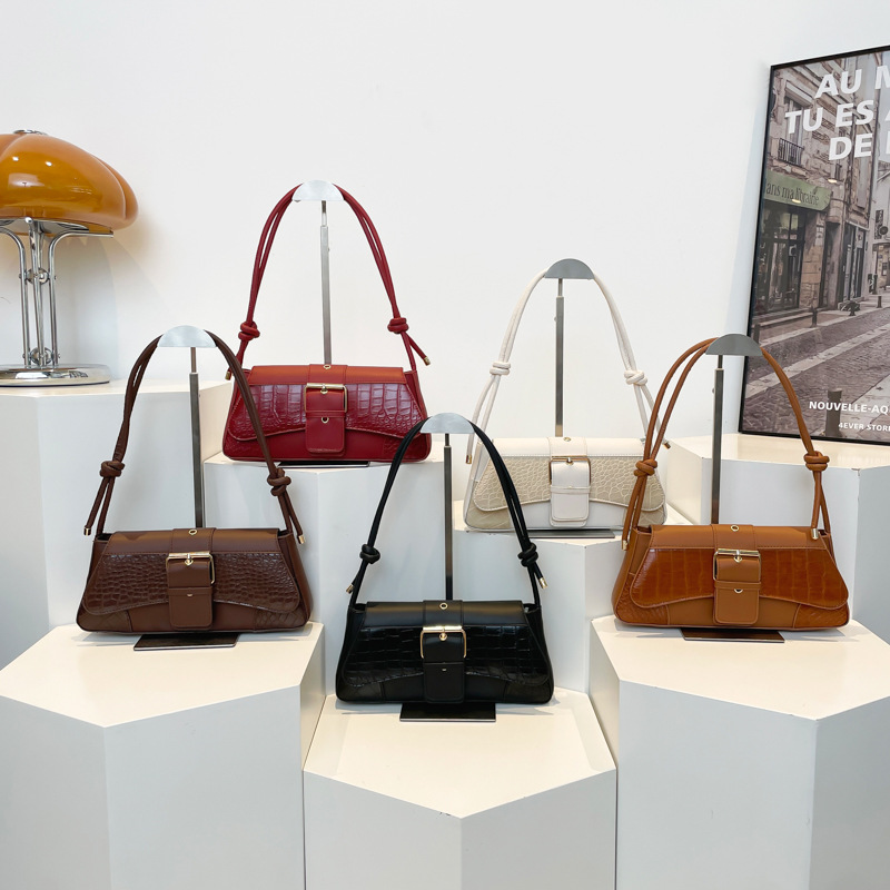A niche high-end design single-shoulder underarm bag 2025 new style, fashionable and trendy, simple and versatile, hand-carried bag for women Application Scenario