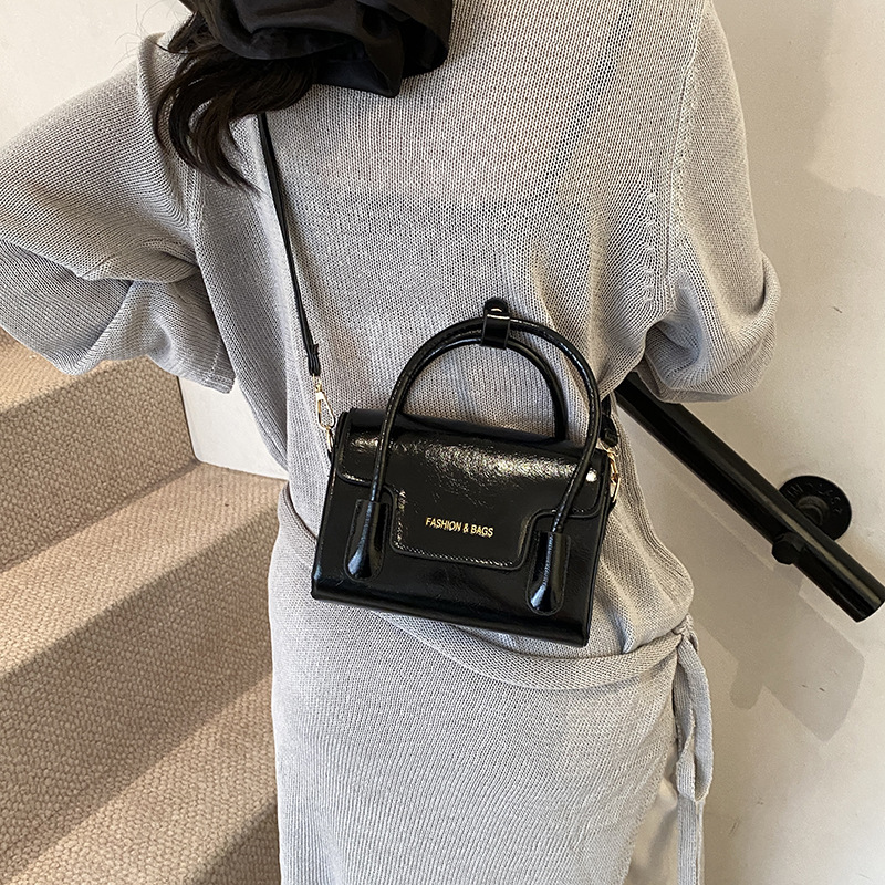 Fashionable and elegant small square handbag, 2025 new style bag, women's high-end crossbody bag, women's ins style commuting bag details Picture