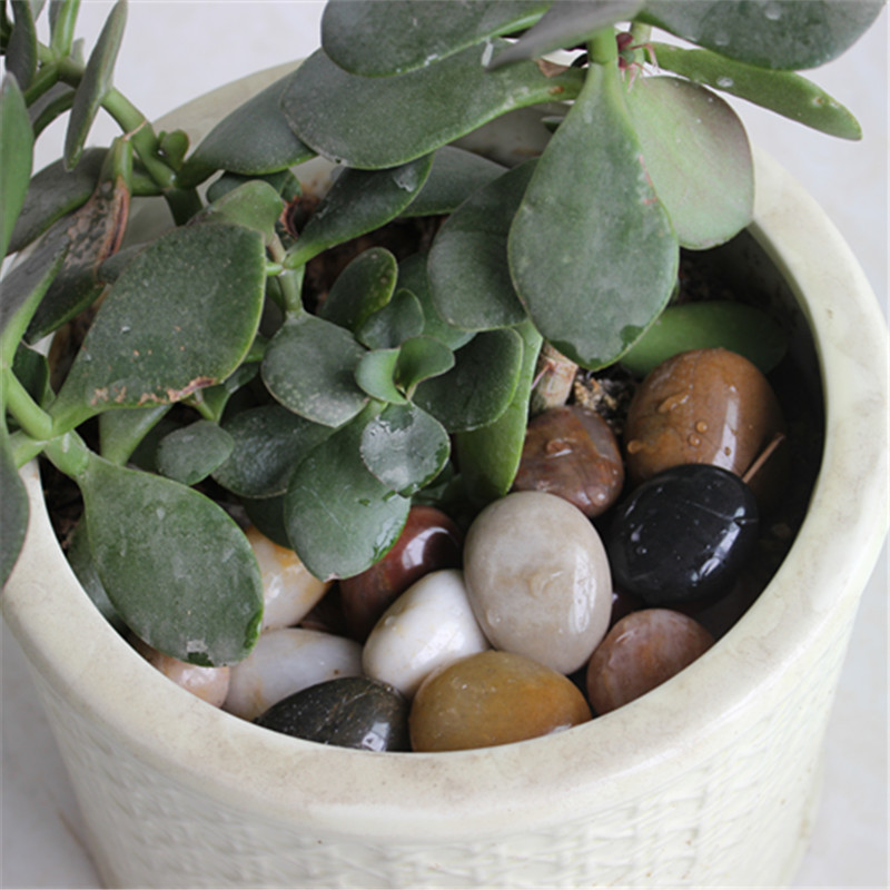 Pebbles, rain flower stones, rough stones, small pebbles for paving, fish tanks, flower POTS, soft stones, courtyard decoration, garden, and colorful stones Application Scenario