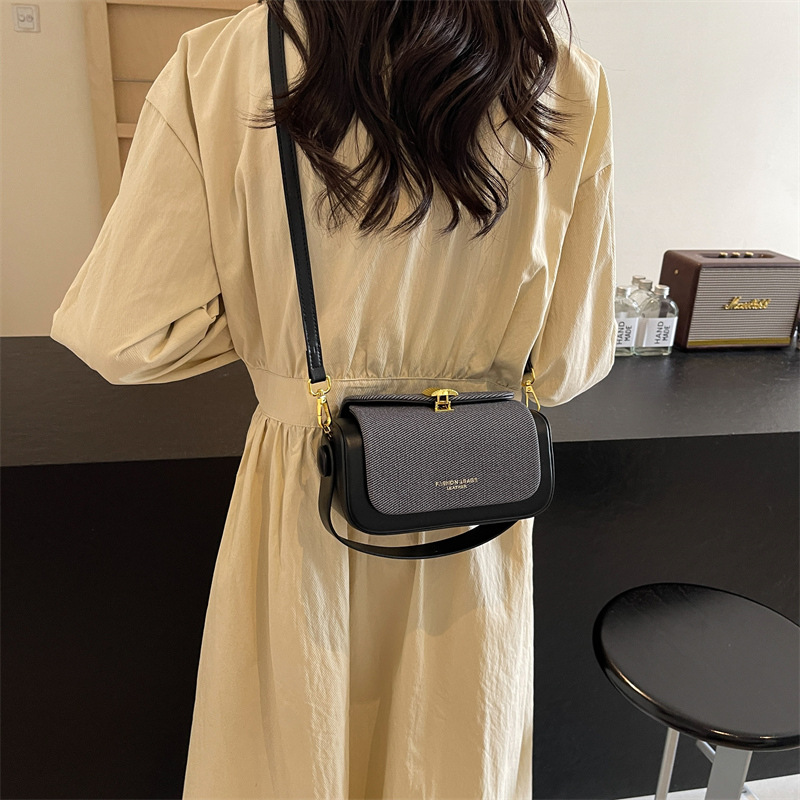 Cross-border fashion high-end small square bag for women 2025 new style, trendy and simple texture, versatile handbag, single-shoulder crossbody bag Specification drawing