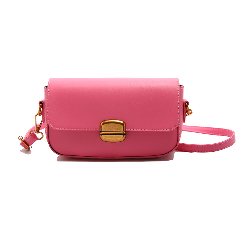 This is a fashionable and versatile women's crossbody bag for the spring of 2025. It's a small square bag for commuting and a niche underarm single-shoulder bag. Item Picture