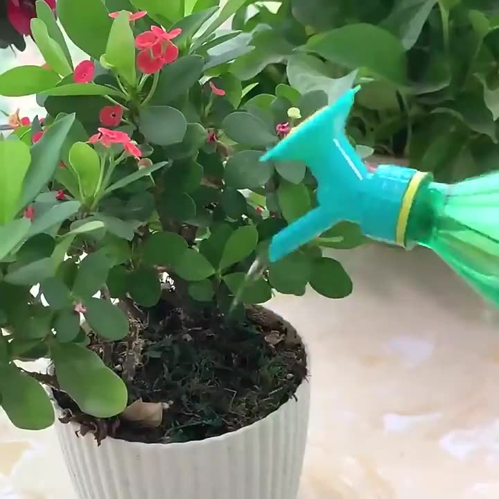 The new double-head watering device is portable and universal. It can be used for both beverage bottles, water bottles and shower heads. It is a perfect tool for watering sunflowers details Picture