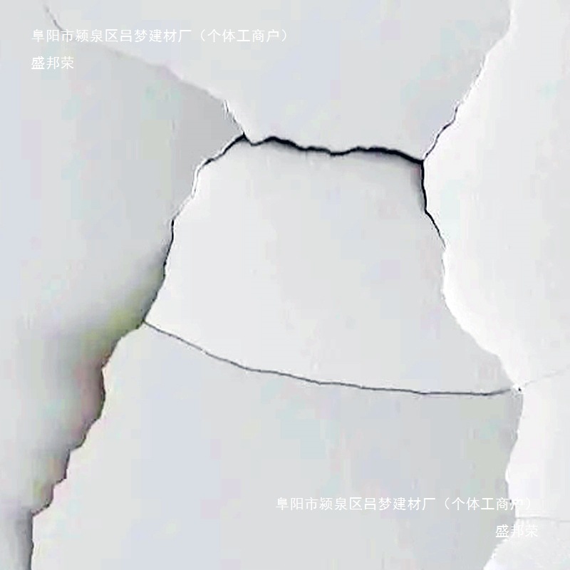 Wall repair paste, waterproof covering, household rental house wall agent, white wall crack repair, interior wall putty powder details Picture