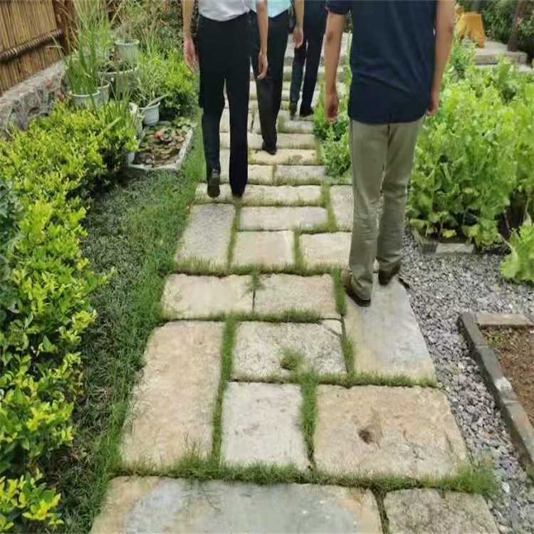 Wholesale of door pillow stones, cut old door pillow prices. Large quantities of door stones in stock for sale. Bulk purchase offers better prices Application Scenario