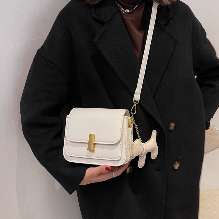 The trendy small square bag is a versatile and fashionable crossbody bag. It's a new style of high-quality and fashionable commuting single-shoulder bag for women in 2025 Application Scenario