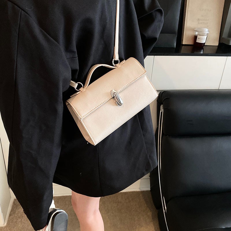 Korean retro hand-held box bag for women, 2025 new style bag, fashionable shoulder bag, high-end feel, niche crossbody bag, trendy Application Scenario