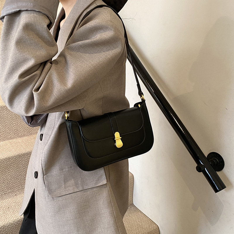 2025 New single-shoulder niche design fashionable women's bag, high-quality commuting handbag, crossbody bag, elegant small bag Application Scenario