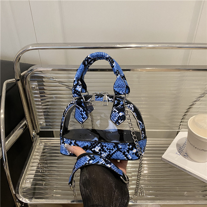 European and American snake pattern patchwork transparent shell bag 2025 new trend creative retro handbag chain women's bag full figure