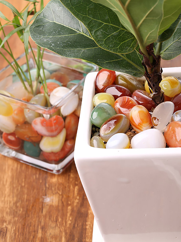 Yuhua stone raw stone fish tank decoration flower pot succulent surface five-color stone garden viewing hydroponic stone Application Scenario