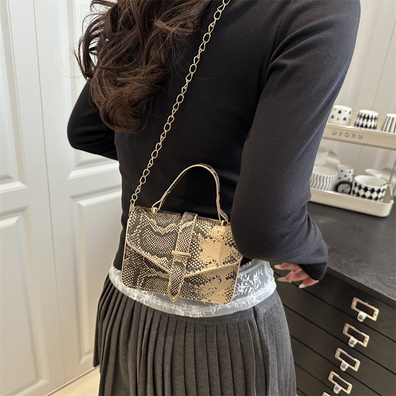 This is a trendy and versatile handbag with a shiny surface and a small square shape. It's a new high-end quality single-shoulder crossbody bag for women in 2025 Specification drawing