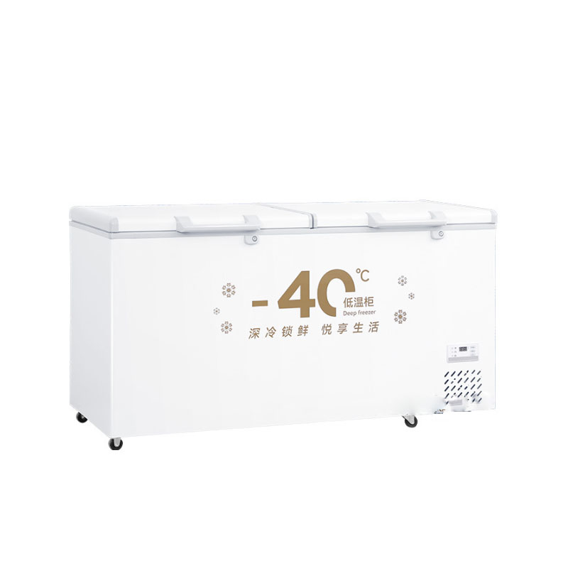 Original factory of in-stock freezers, commercial freezers, large-capacity single-temperature commercial refrigeration and preservation horizontal refrigerators details Picture