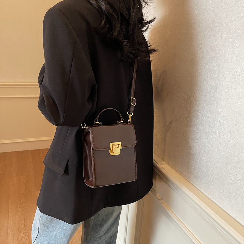 Retro handbag for women, 2025 new trendy Korean version, niche single-shoulder bag, high-end texture, versatile, crossbody small square bag Application Scenario