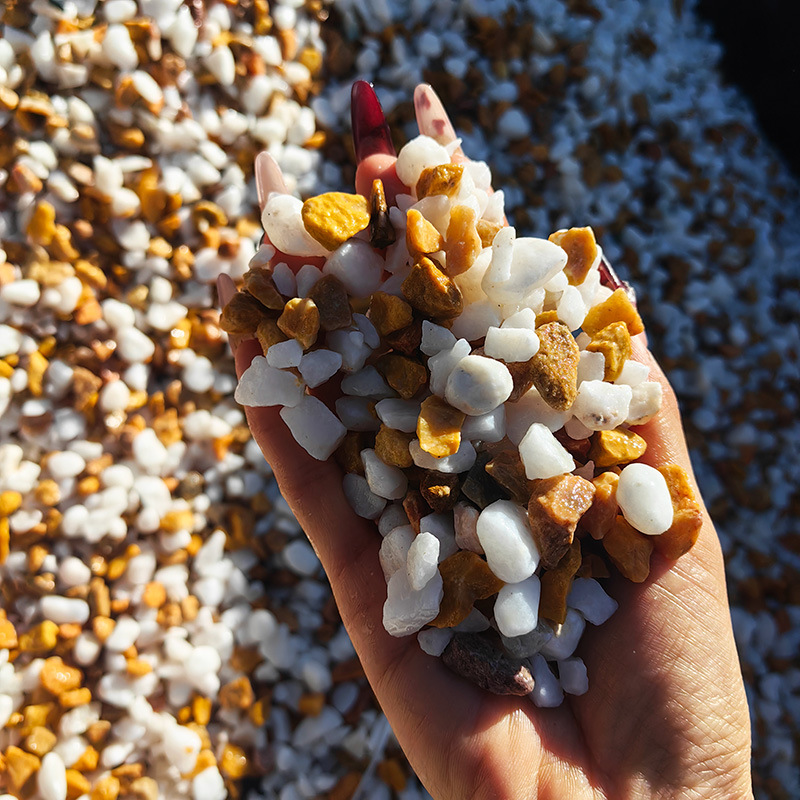 Wholesale of water-washed stones, pebbles, colored stones and five-color stones available for export, adhesive stones and permeable stones from the manufacturer details Picture