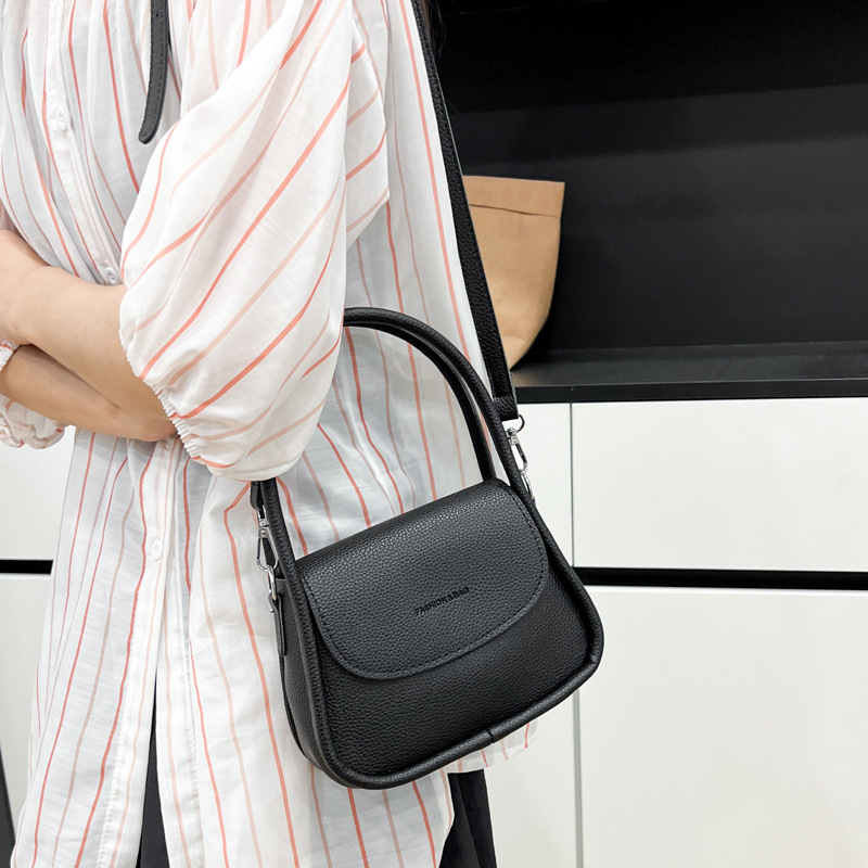 A versatile and high-end niche bag, 2025 new style women's bag, stylish small bag, single-shoulder fashionable crossbody bag, handbag Specification drawing