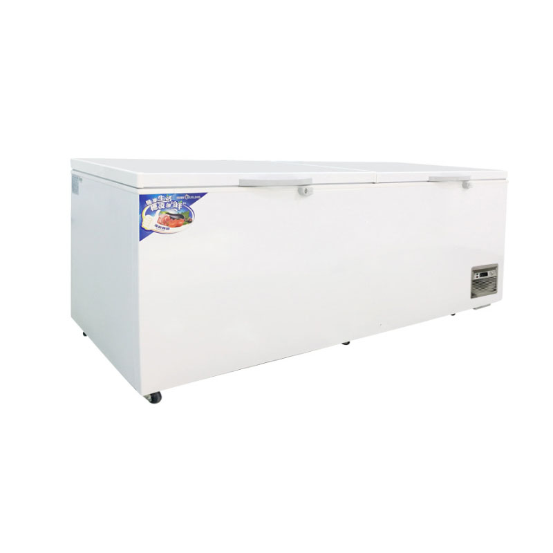 Commercial large-capacity freezer, single-temperature freezer for switching between freezing and refrigeration, factory Suiling Freezer Application Scenario