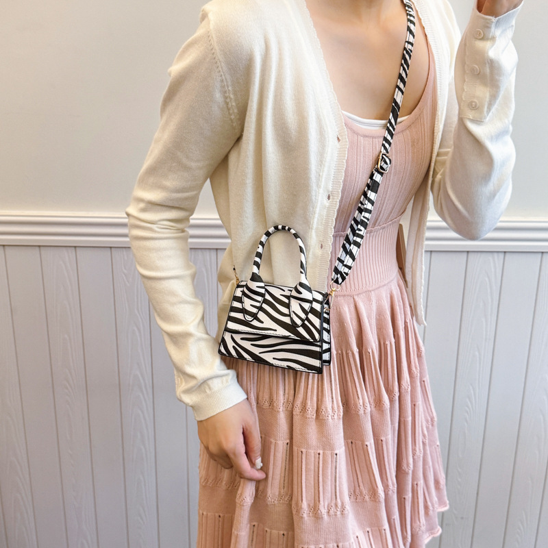 A niche design mini 2025 new stylish and stylish hand-held small bag with leopard print and a sweet and cool style for hot girls details Picture