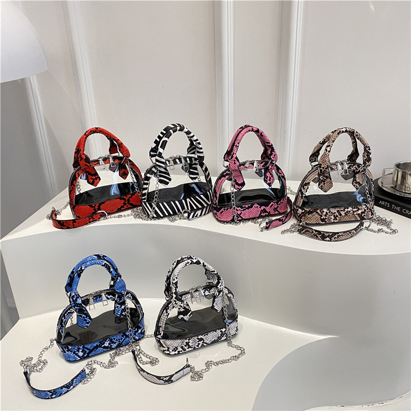 European and American snake pattern patchwork transparent shell bag 2025 new trend creative retro handbag chain women's bag Application Scenario