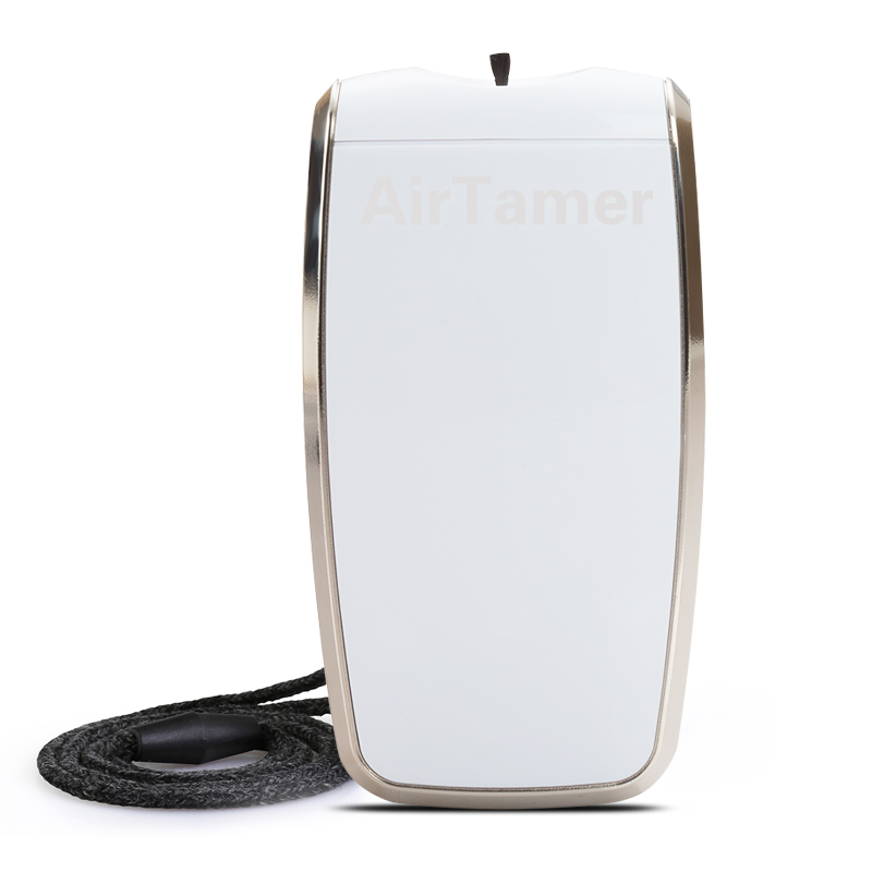 American A320 Portable air purifier, a portable neck-hanging negative ion purifier Item Picture