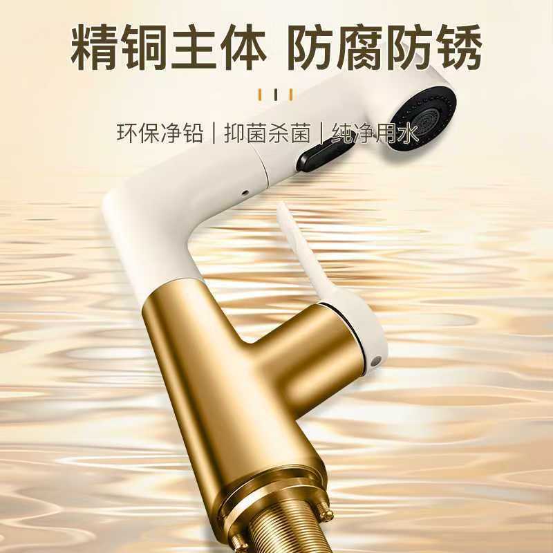 Washbasin, faucet, pull-out cold and hot basin, washbasin, bathroom, washbasin, cream fan, lift, household details Picture