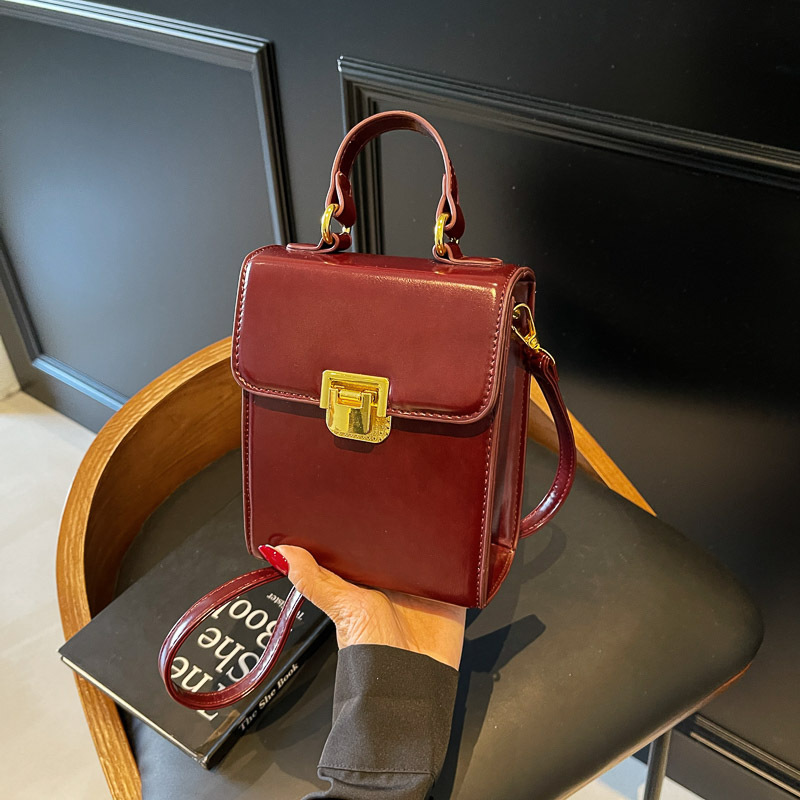 Retro handbag for women, 2025 new trendy Korean version, niche single-shoulder bag, high-end texture, versatile, crossbody small square bag details Picture