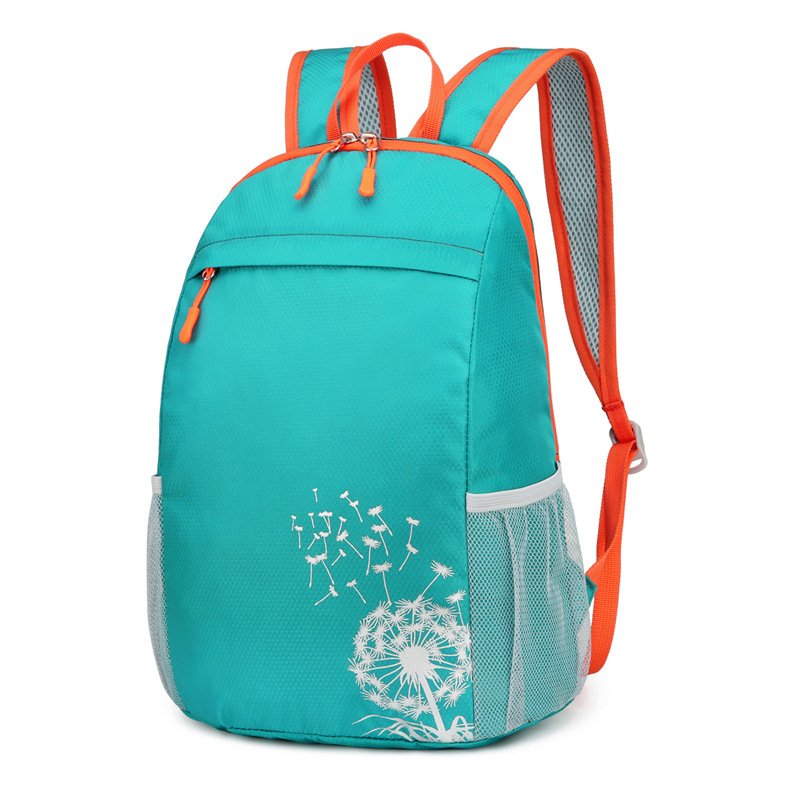 Children's outdoor hiking bag, folding backpack, ultra-light and portable travel and leisure backpack, primary school students' spring outing hiking bag details Picture