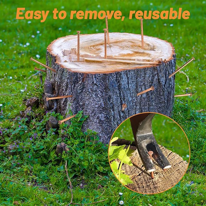 Copper nails for tree stump removal: 3.15 inches 15 pieces 25 pieces 4 inches 25 pieces Item Picture