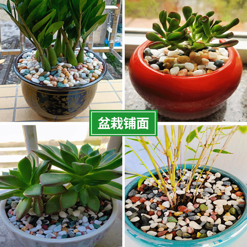Natural rain flower stones, colored small pebbles, five-color stones, pebbles, succulent potted plants, flower cultivation, covering, fish tank, and landscape stones Application Scenario
