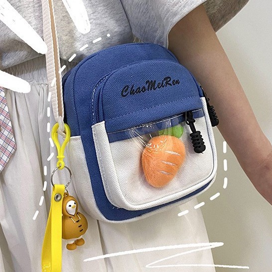 The new canvas single-shoulder bag for Spring/Summer 2025 is a Korean style, fashionable and individualistic, super popular transparent pain bag, a multi-purpose crossbody small bag Specification drawing