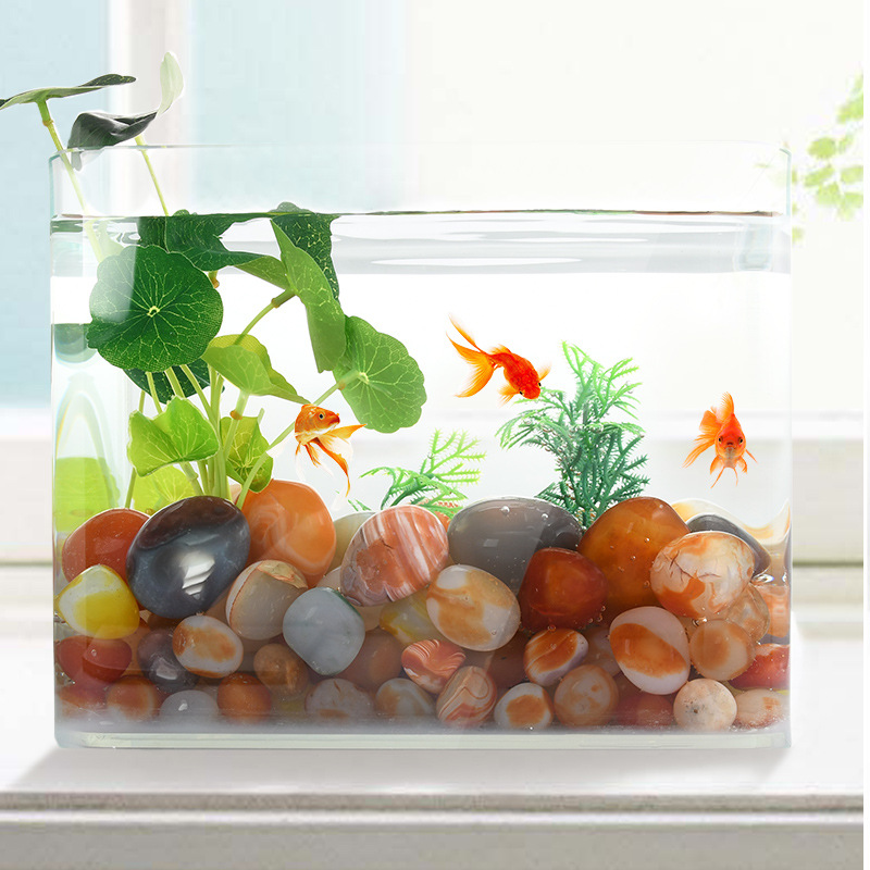 Nanjing Yuhua stone raw stones, natural pebbles, succulent surface stones, fish tank decoration, potted plants, five-color small stones Application Scenario