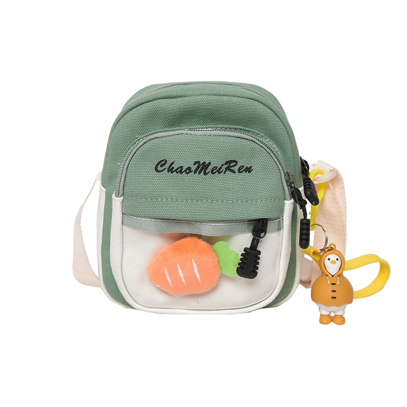 The new canvas single-shoulder bag for Spring/Summer 2025 is a Korean style, fashionable and individualistic, super popular transparent pain bag, a multi-purpose crossbody small bag Item Picture