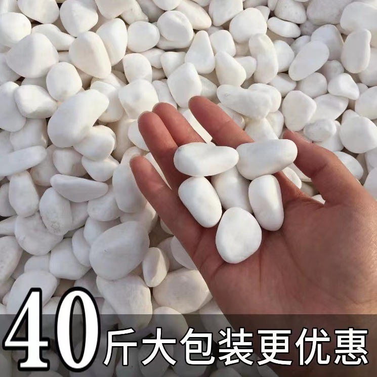 40 jin of natural washed white and black pebbles, gravel, courtyard garden landscape, potted plant, garden decoration, and ground covering full figure