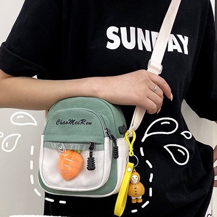 The new canvas single-shoulder bag for Spring/Summer 2025 is a Korean style, fashionable and individualistic, super popular transparent pain bag, a multi-purpose crossbody small bag Application Scenario