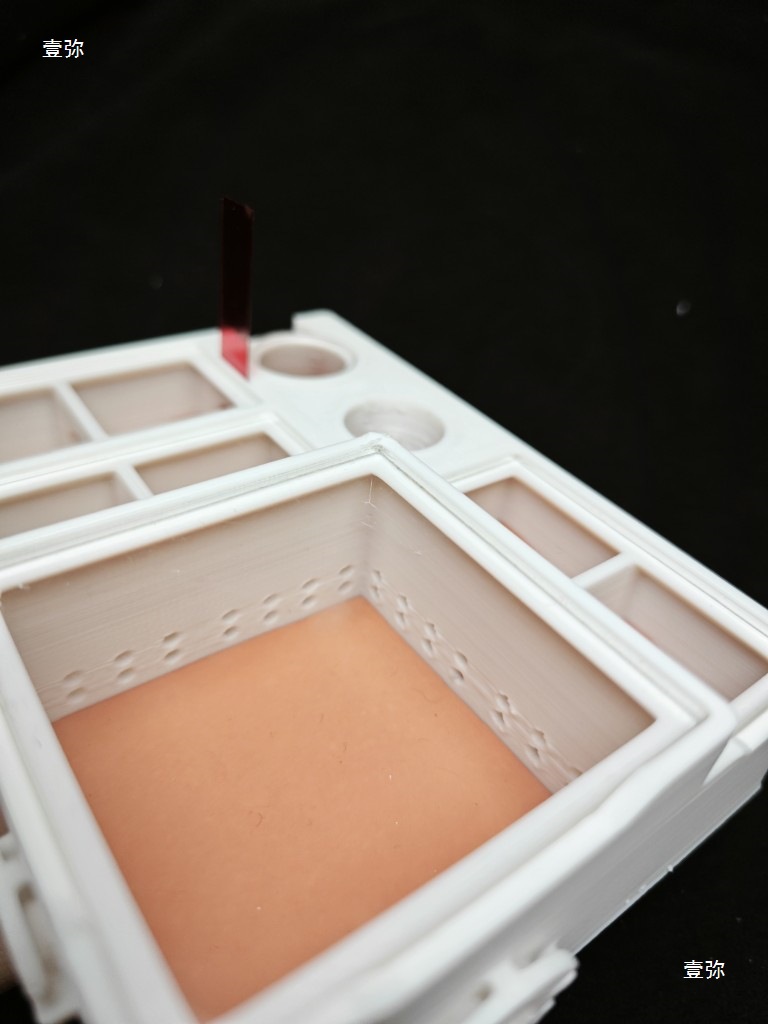 Ma Jiang Ant Nest 3d printing 3 Rear Combined Rear nest Black Gold arched back Nicobar arched back combined small novice breeding gypsum Specification drawing