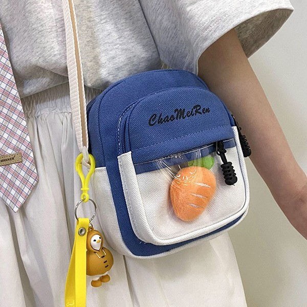 The new canvas single-shoulder bag for Spring/Summer 2025 is a Korean style, fashionable and individualistic, super popular transparent pain bag, a multi-purpose crossbody small bag full figure