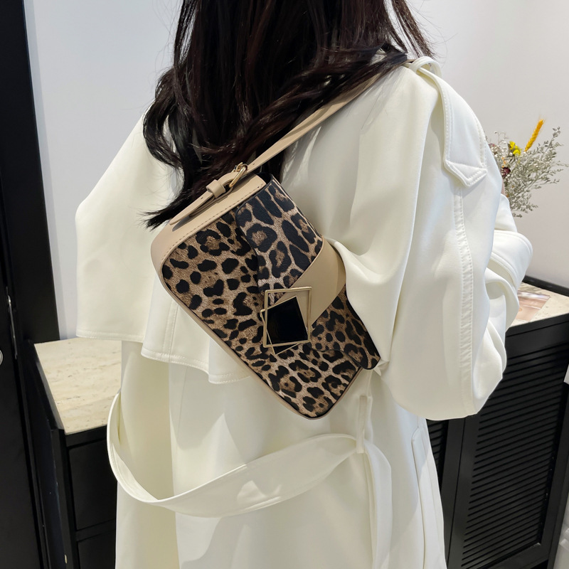 Autumn niche design retro 2024 personalized fashionable casual women's small square bag, stylish single-shoulder hand-carry women's bag Specification drawing