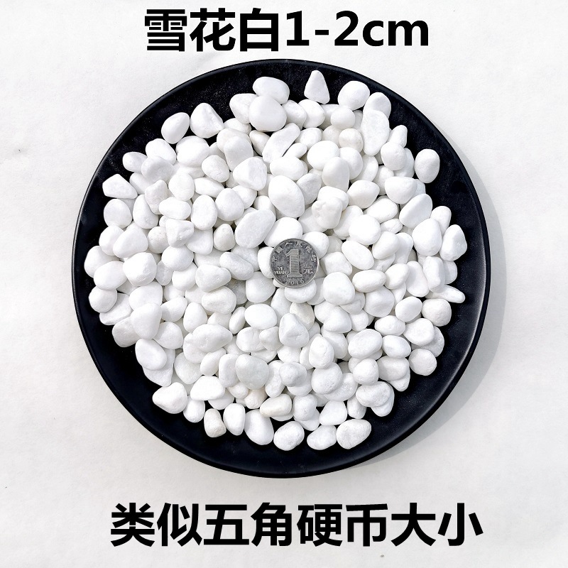 Natural white pebbles, white stones, white marble, colored stones, garden potted plants, stones, succulents, paving, courtyard landscaping Application Scenario