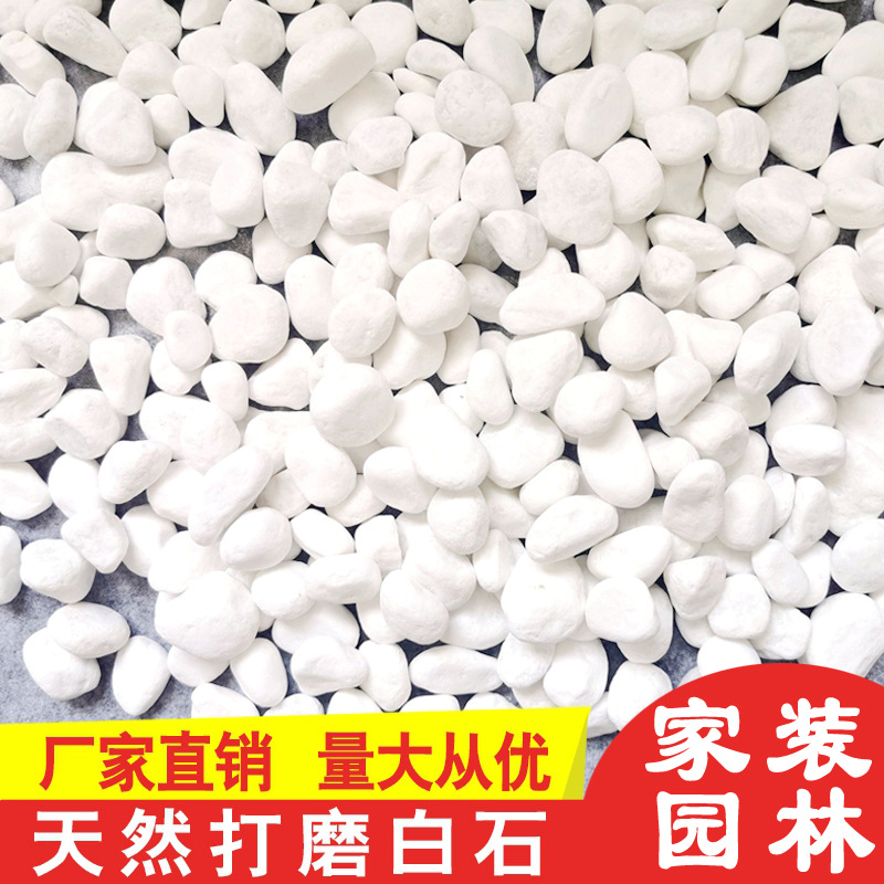 Natural white pebbles, white stones, white marble, garden and horticultural potted plants, stones, succulents, paving, courtyard landscaping full figure