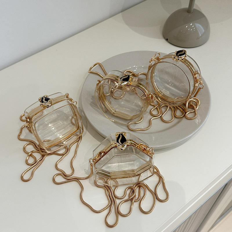 Mini earphone case 2024 new style European and American fashion acrylic transparent box bag ins women's chain bag Application Scenario