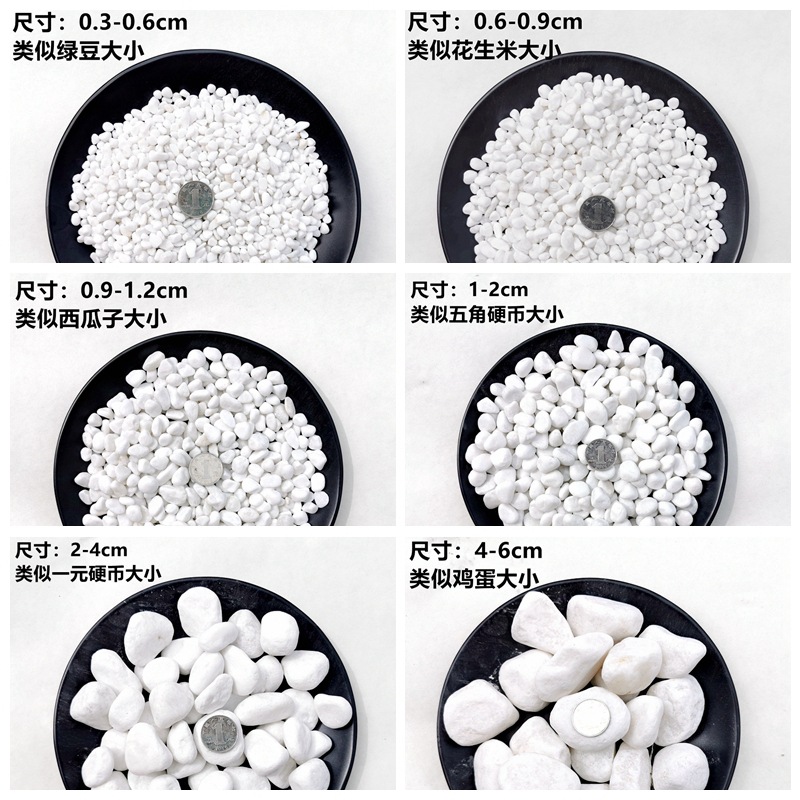 Natural white pebbles, white stones, white marble, garden and horticultural potted plants, stones, succulents, paving, courtyard landscaping details Picture