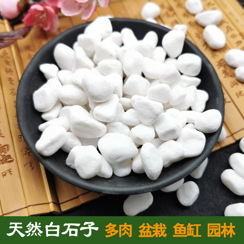 Natural white pebbles, white stones, white marble, colored stones, garden potted plants, stones, succulents, paving, courtyard landscaping details Picture